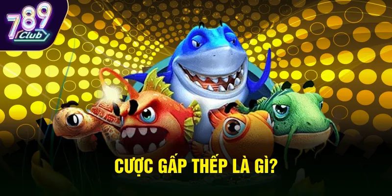 Cược gấp thếp Là Gì?